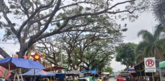 The streets of Kabankalan City in Negros Occidental are filled with food kiosks as they celebrate the 48th Sinulog Festival. Mayor Benjie Miranda said on Jan. 12 that the winning tribe will receive P2 million worth of projects and a P120,000 cash prize. MAE SINGUAY/PN