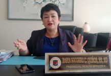 Dr. Maria Socorro Colmenares-Quiñon, head of the Iloilo Provincial Health Office, says hand-foot-and-mouth disease is manageable if patients consult with health facilities promptly.