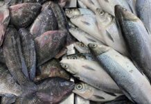 Bangus, tilapia prices slightly up Fish is displayed for sale at the seafood section of a supermarket in Quezon City. RON CALUNSOD, ABS-CBN NEWS/FILE PHOTO