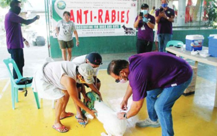 dog_pic_resized_resized Pet owners are urged to be responsible enough and have their dogs vaccinated. PHOTO COURTESY OF PNA