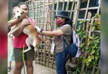 Iloilo-wide dog vaccination to begin on Feb. 1 A total of 228,984 dogs in Iloilo province have been vaccinated as of Dec. 31, 2023, data from the Provincial Veterinary Office showed. PHOTO COURTESY OF PNA