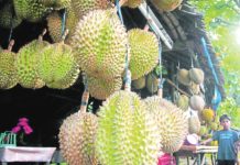 The Philippines has been among the top 10 global suppliers of durian, also known as the “king of fruits.” INQUIRER FILE PHOTO
