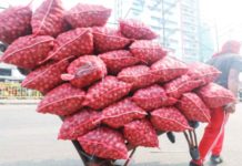 Farmers’ group welcomes suspension of onion importation The Samahang Industriya ng Agrikultura says the suspension of onion importation is beneficial to farmers to stabilize the price of onions. PNA PHOTO BY YANCY LIM