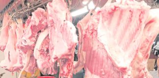 The Philippines brought in 1.1 billion kilograms of meat as of November 2023 – 10.9 percent lower than the 1.3 billion kilograms in 2022. INQUIRER FILE PHOTO / GRIG C. MONTEGRANDE