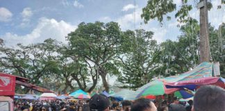 Revelers flock to Kabankalan City during the 48th Sinulog Festival’s highlight yesterday, Jan. 21. MAE SINGUAY/PN