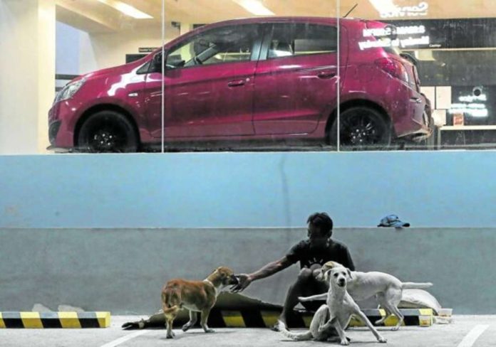street_resized Jorge, a street dweller, takes comfort in the company of his pets at the parking lot of a car showroom in Matandang Balara, Quezon City, where he says he usually sleeps at night. PHOTO BY LYN RILLON / PHILIPPINE DAILY INQUIRER