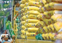 PH to remain world’s top rice importer in 2024 – USDA The Philippines is currently estimated to import 3.8 million metric tons of rice this year. Photo shows workers unloading sacks of premium rice from a truck parked on Dagupan Street in Divisoria Market, Manila. DANNY PATA PHOTO