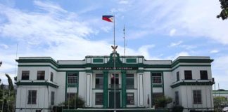 Photo courtesy of Patrickroque01/Wikimedia Commons