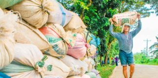 A rice farmer carries a sack of palay in this undated photo. Losses on Antique’s agriculture, particularly on rice, stood at over P72 million so far due to the El Niño phenomenon. DEPARTMENT OF AGRICULTURE-WESTERN VISAYAS