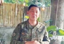 29 Army-rebel clashes in Panay in 2023 SAMSON. 301ST INFANTRY BRIGADE PHOTO