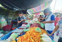 Prices of 21 agri products increased in Feb. – PSA