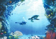 DOT: Dive industry contributed P73 billion to economy in 2023 The Philippine dive industry’s P73-billion income in 2023 was almost double the P37 billion it generated in 2022. PHOTO COURTESY OF DEPARTMENT OF TOURISM