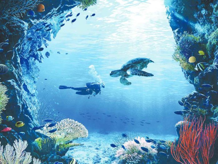 dive_industry_resized The Philippine dive industry’s P73-billion income in 2023 was almost double the P37 billion it generated in 2022. PHOTO COURTESY OF DEPARTMENT OF TOURISM