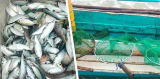 Personnel of the Iloilo Provincial Bantay Dagat Task Force and Concepcion Municipal Police seized this fishing boat engaged in dynamite fishing in Concepcion, Iloilo and 20 kilograms of assorted fish on Tuesday, Feb. 20. PHOTOILOILO PROVINCIAL BANTAY DAGAT TASK FORCE PHOTOS