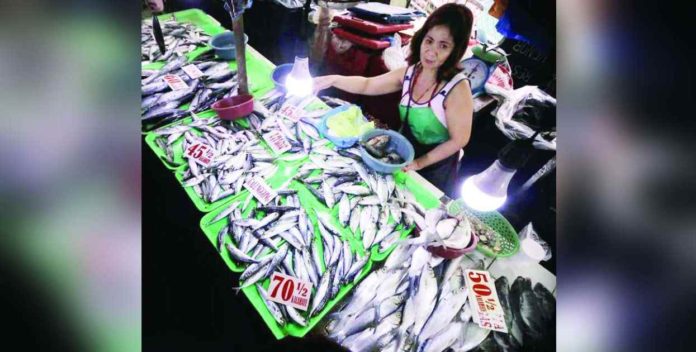 fish prices.JPG_superimposed The lifting of the closed fishing season for round scad in Northern Palawan will result in a boost in supply for the fish in the local market. RAPPLER PHOTO