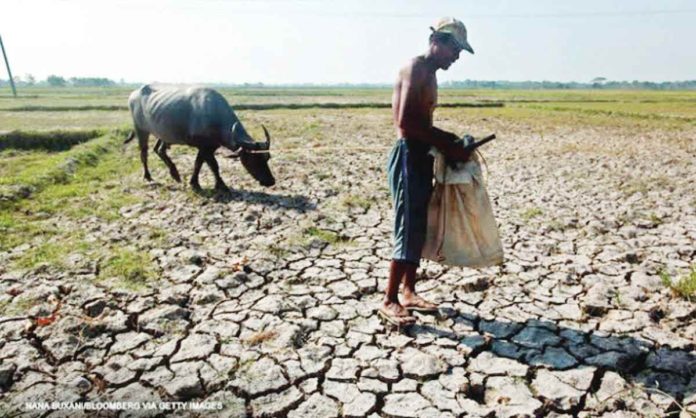 livestock_pic_resized CNN PHILIPPINES PHOTO