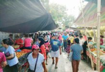 Photo shows people buying fruits and vegetables at a public market in Pavia, Iloilo. AJ PALCULLO/PN
