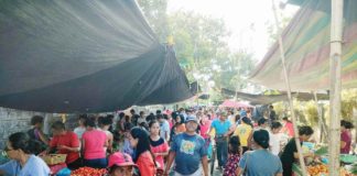 Photo shows people buying fruits and vegetables at a public market in Pavia, Iloilo. AJ PALCULLO/PN