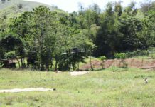 The Provincial Engineer’s Office conducts a topographic survey using a sophisticated drone equipped with LiDAR technology at the proposed project site for the construction of 30 units of housing and land development under the Purok Resilience Program in Barangay Nangka, Batad. ILOILO PPDO / FACEBOOK PHOTO