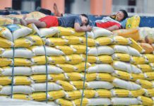 PH seen to import 3.9M metric tons of rice in 2024 – USDA Workers take a rest from disembarking sacks of imported rice to a warehouse in Tondo, Manila. PHOTO BY RENE H. DILAN/THE MANILA TIMES