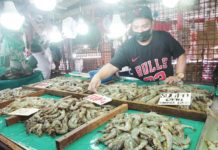 Lifting of US ban on shrimp exports sought The United States government prohibits the importation of shrimp caught using commercial fishing technology that adversely affects turtles. PNA PHOTO BY BEN BRIONES