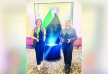SMPC celebrates double win at 20th Philippine Quill Awards "Anong Kwentong Semirara Mo?" social development video campaign of Semirara Mining and Power Corporation scored two wins at the 20th Philippine Quill Awards.