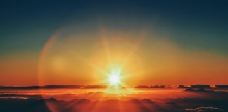Photo by Jonathan Borba on Unsplash