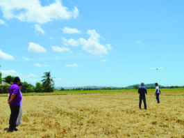 The El Niño phenomenon has so far affected over 14,000 hectares of rice, corn, and high-value crops in Western Visayas. File photo shows a drone flown over a drought-stricken area in Iloilo province. DA REGION 6 FILE PHOTO