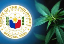 Senate Bill No. 2573 states that the use of cannabis for medical purposes will be permitted “to treat or alleviate a qualified patient’s debilitating medical condition or symptoms.” INQUIRER FILE PHOTO