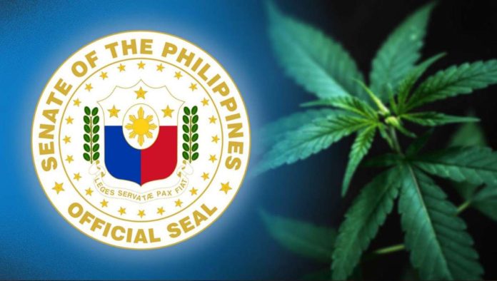 cannabis.JPG_resized Senate Bill No. 2573 states that the use of cannabis for medical purposes will be permitted “to treat or alleviate a qualified patient’s debilitating medical condition or symptoms.” INQUIRER FILE PHOTO