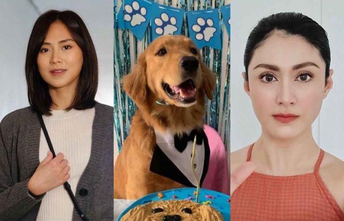 Sarah Geronimo, dog Killua and Carla Abellana. @JUSTSARAHGPH, @CARLAANGELINE, VINA RACHELLE PHOTOS