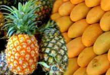 PH trimmed farm trade deficit in Q4