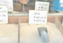 Rice drives up Guimaras’ food inflation to 9% in February Rice posted the highest share to inflation trend of 60.6% and with largest contribution of 70% to February 2024 food inflation in Guimaras. PSA GUIMARAS PHOTO
