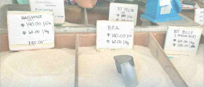 guimaras_rice.JPG_resized Rice posted the highest share to inflation trend of 60.6% and with largest contribution of 70% to February 2024 food inflation in Guimaras. PSA GUIMARAS PHOTO