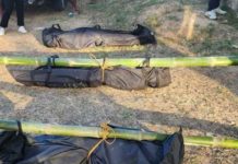 The bodies of three rebels killed in an encounter killed in an encounter in Barangay Torocadan, San Joaquin, Iloilo were recovered on Wednesday, February 28. 301ST INFANTRY BRIGADE PHOTO