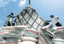 PH seen to import more rice as harvest may fall short this year Sacks of Imported rice from Vietnam are being unloaded in Surigao City port. INQUIRER.NET FILE PHOTO