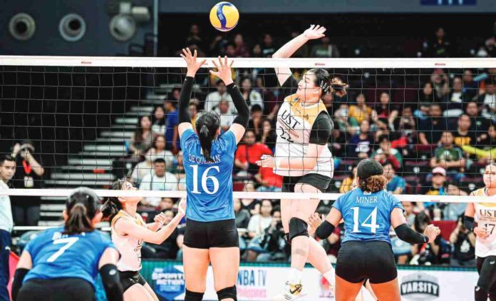 sports_UST_resized University of Santo Tomas Golden Tigresses’ Bianca Plaza looks to smash the ball towards the defense of Ateneo de Manila University Blue Eagles’ Lyann de Guzman. UAAP PHOTO
