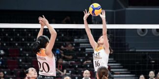 Negrense Cassie Carballo of the University of Santo Tomas Golden Tigresses tosses the ball to her teammates. UAAP PHOTO