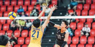 Negrense Alyssa Bertolano of Farm Fresh Foxies scores against the defense of Capital1 Solar Energy Solar Spikers’ Shirley Salamagos. PVL PHOTO