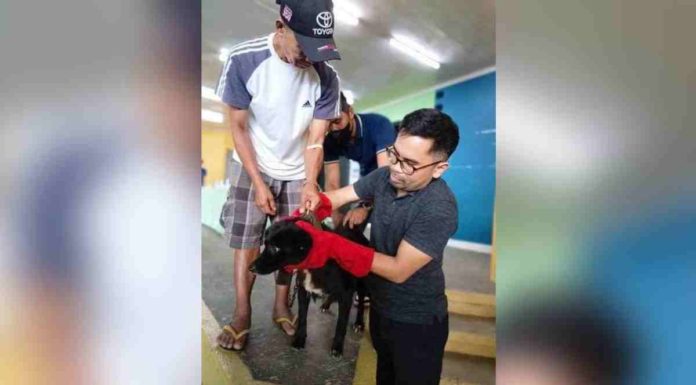 vax pic_superimposed Personnel of the Iloilo Provincial Veterinary Office administer anti-rabies vaccine to dogs in Leon town. ILOILO PVO FILE PHOTO