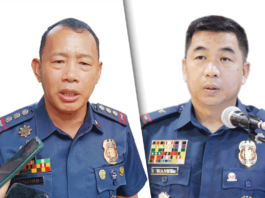 Palomo (left); Wanky (right)