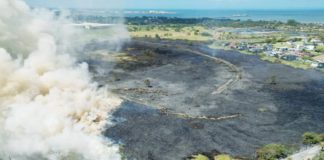 Bacolod City logged over a hundred fire incidents from January to March 11, which left P19 million in damages. The photo above shows a grass fire at the border of Talisay and Bacolod cities early Tuesday morning, April 2. BTAO DEPUTY HEAD JOSE ROBELLO PHOTOS