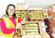 PH to send second shipment of fresh mangoes to Australia Zona Tan-Sheppard from the Thorny Fruit Company said they received around 1,500 kilograms of fresh carabao mangoes from the Philippines in September 2023. PHOTO COURTESY OF ABC.NET.AU