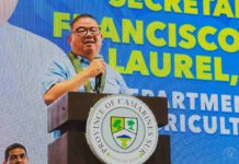 Agriculture Secretary Francisco Tiu Laurel Jr. pushes for a higher allocation for improving the competitiveness of farmers, and for projects to include postharvest facilities that could boost rice recovery. DA PHOTO