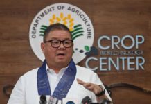 DA intensifies crackdown vs importers diverting ‘galunggong’ to wet markets Agriculture Secretary Francisco Tiu Laurel Jr. says diverting imported fish to wet markets has been going on for a decade, even if it is illegal. DEPARTMENT OF AGRICULTURE PHOTO
