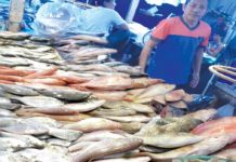 Pambansang Lakas ng Kilusang Mamalakaya ng Pilipinas says the government should look into other possible ways to address the expected shortage of fish supply during the closed fishing season instead of allowing importation. BFAR 6 PHOTO