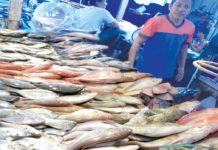 Group opposes gov’t decision to import fish Pambansang Lakas ng Kilusang Mamalakaya ng Pilipinas says the government should look into other possible ways to address the expected shortage of fish supply during the closed fishing season instead of allowing importation. BFAR 6 PHOTO