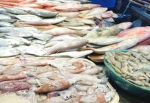 Group opposes gov’t decision to import fish