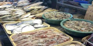 Fisheries production in Western Visayas stood at 325,011 metric tons in 2023. BFAR-6 PHOTO
