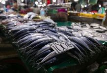 DA suspends issuance of import clearances for ‘galunggong,’ other fish Locally-sourced galunggong are sold for an average of P288.81 per kilo while imported galunggong are sold at P180 per kilo. GEORGE CALVELO/ABS-CBN NEWS PHOTO